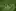 16px WebP