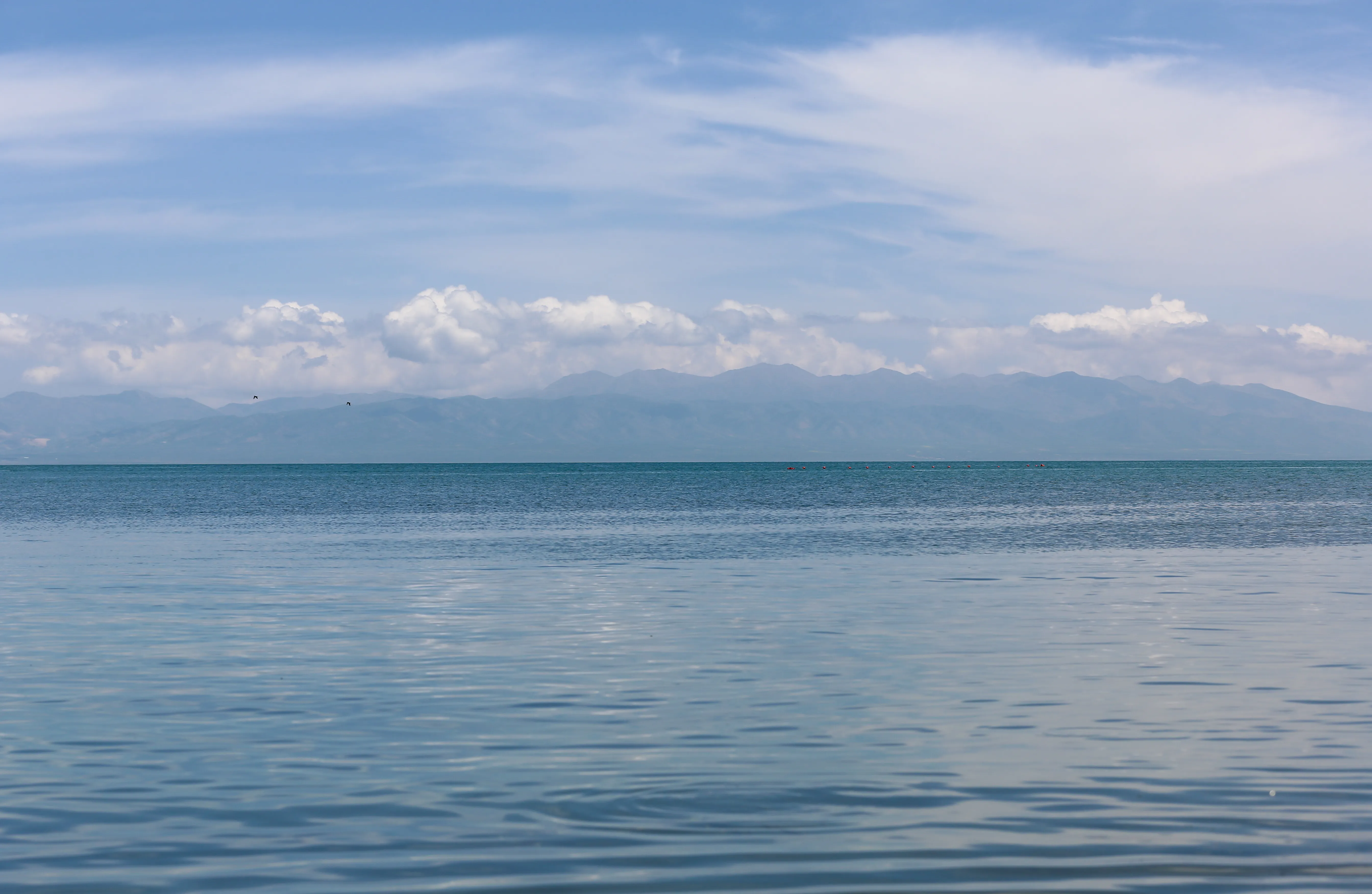 青海湖