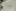 16px WebP